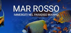mar rosso mar rosso